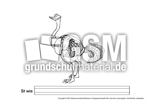 St-wie-Strauß.pdf